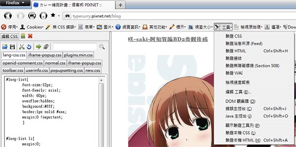 Web Developer