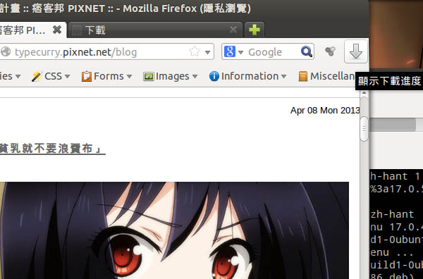 Firefox 20 Ubuntu