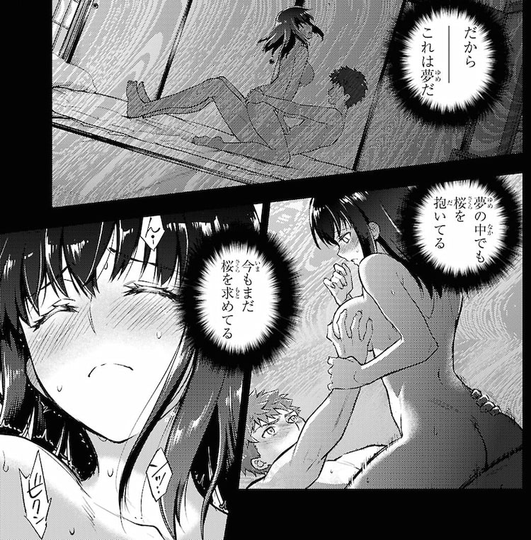 Fate/stay night [Heaven’s Feel] 110話