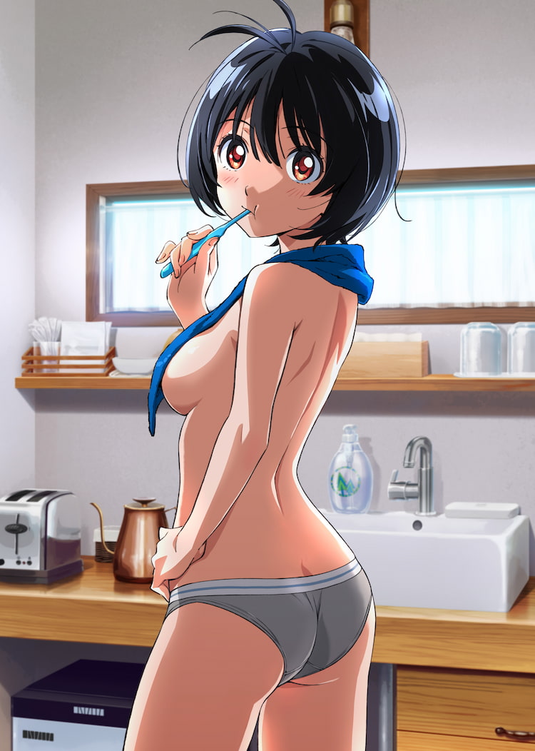 VERTEX FORCE(バーテックスフォース) 「ぼくと姉ちゃんの夏日記」
