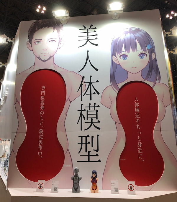 美人体模型